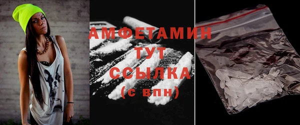 прущие грибы Елизово