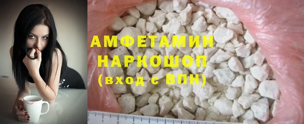 прущие грибы Елизово