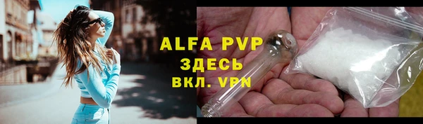 прущие грибы Елизово