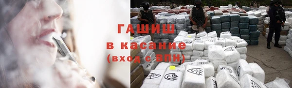 прущие грибы Елизово