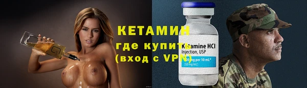 прущие грибы Елизово
