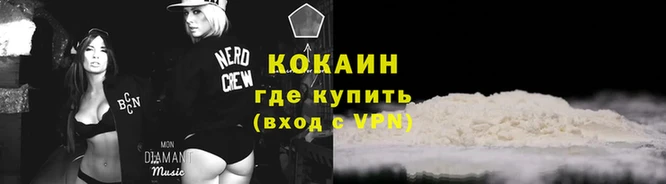 прущие грибы Елизово