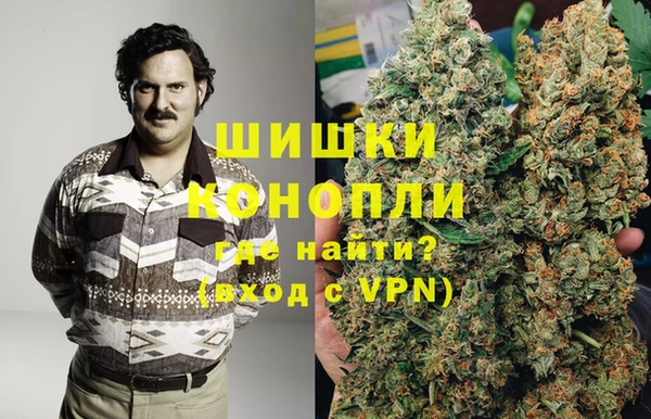 прущие грибы Елизово