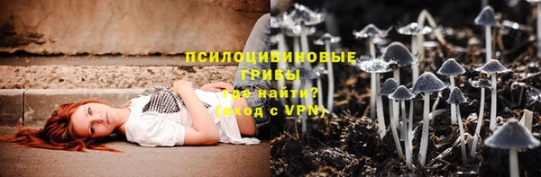 прущие грибы Елизово