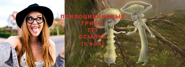 прущие грибы Елизово