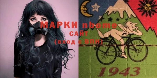 прущие грибы Елизово