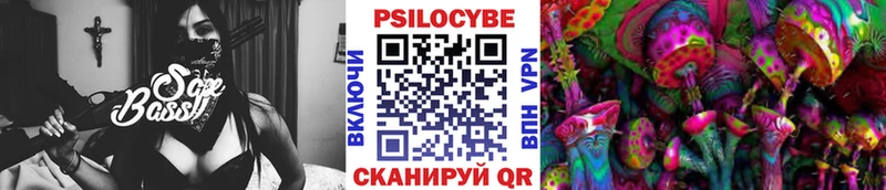 Псилоцибиновые грибы Cubensis  Купить  Дмитров 